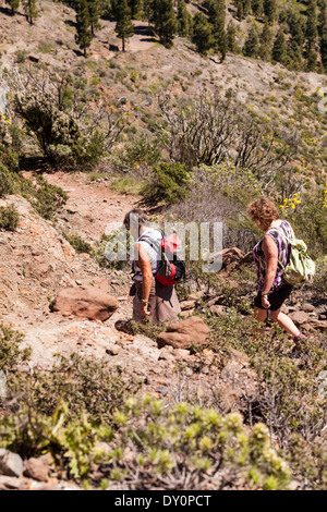 Gli scuotipaglia in Santiago del Teide zona di Tenerife, Isole Canarie, Spagna. Foto Stock