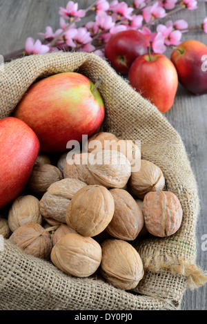 Sacco di dado e la mela Red Delicious con fiori Foto Stock