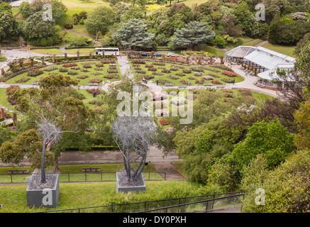 Giardino Botanico, Wellington, Nuova Zelanda - Panoramica della signora Norwood Rose Garden Foto Stock