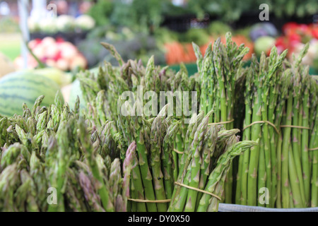 Asparagi freschi Foto Stock