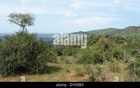 Uno scenario panoramico attorno alla Grande Rift Valley in Uganda (Africa) Foto Stock