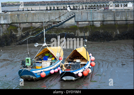 Pesca costiera locale Cobles in sicurezza del porto di Camminare vicino a Warkworth Northumberland England Regno Unito Regno Unito Foto Stock