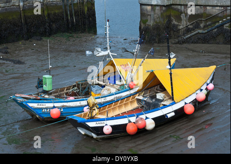 Pesca costiera locale Cobles in sicurezza del porto di Camminare vicino a Warkworth Northumberland England Regno Unito Regno Unito Foto Stock