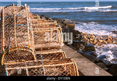 Aragosta bicchieri impilati sulla parete del porto Molo a Beadnell Northumberland England Regno Unito Foto Stock