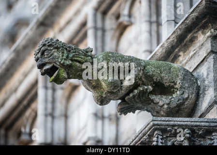 Gargoyle Brussels Town Hall Grand Place Bruxelles Belgio // BRUXELLES, Belgio — Un progetto di pietra gargoyle dal muro esterno del municipio di Bruxelles sulla Grand Place. Questo elemento architettonico medievale, che combina scultura decorativa con una pratica funzione di drenaggio, esemplifica l'artigianato architettonico gotico. Il gargoyle rappresenta parte del vasto programma ornamentale gotico dell'edificio, risalente al XV secolo. Foto Stock