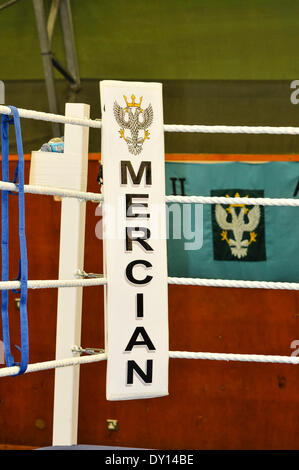 Holywood, Irlanda del Nord. 2 apr 2014 - del secondo battaglione del reggimento di Mercian Boxing Team nel credito di formazione: Stephen Barnes/Alamy Live News Foto Stock