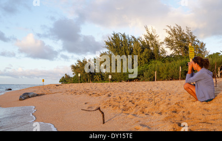 Hawaiian foca monaca adagiata vicino tunnel sulla spiaggia Kauai Foto Stock