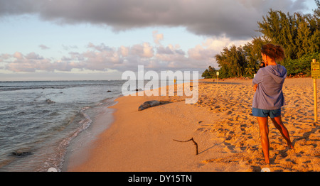 Hawaiian foca monaca adagiata vicino tunnel sulla spiaggia Kauai Foto Stock