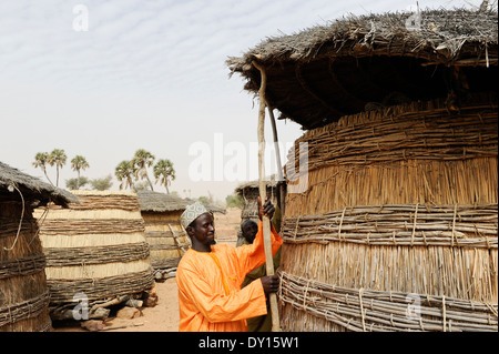 NIGER Zinder, villaggio Zongon Soumaguela, persone store miglio in auto costruito silo di storage per essere preparati per la siccità e carestia Foto Stock