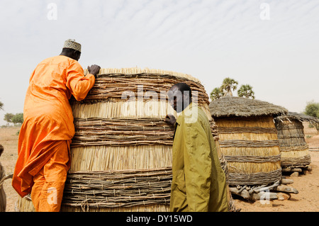 NIGER Zinder, villaggio Zongon Soumaguela, persone store miglio in auto costruito silo di storage per essere preparati per la siccità e carestia Foto Stock