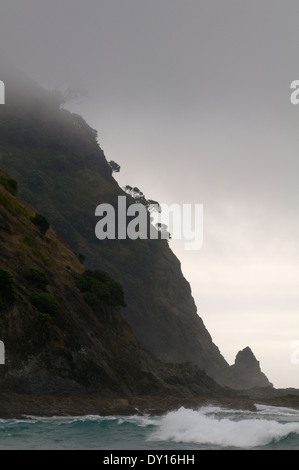 Costa frastagliata vicino al tramonto, a Tapotupotu vicino a Cape Reinga, Nuova Zelanda. Foto Stock