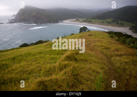 Percorso escursionistico al di sopra della baia di Tapotupotu, vicino a Cape Reinga, Nuova Zelanda. Foto Stock