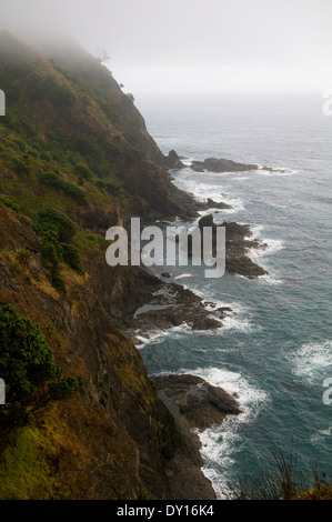 Costa frastagliata a Tapotupotu, vicino a Cape Reinga Nuova Zelanda. Foto Stock