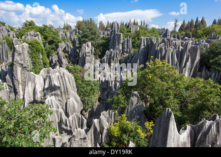 Calcare la foresta di pietra di un patrimonio mondiale Unesco, Kunming Yunnan in Cina. Foto Stock