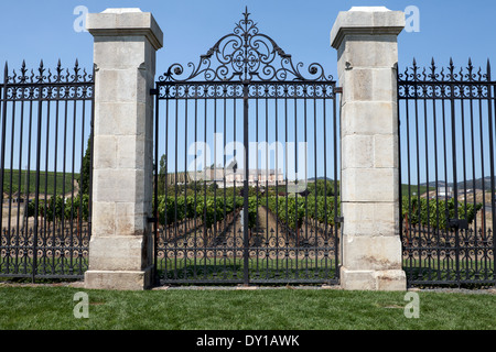 Cancello di ferro del Domaine Carneros winery, Napa, CALIFORNIA, STATI UNITI D'AMERICA Foto Stock