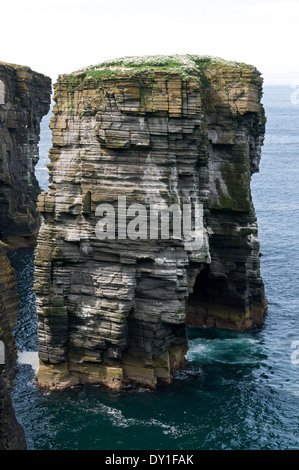 Catasta di mare chiamata Clett con arco di roccia, a Holborn Head, Scrabbster, vicino Thurso, Caithness, Scozia, Regno Unito. Foto Stock