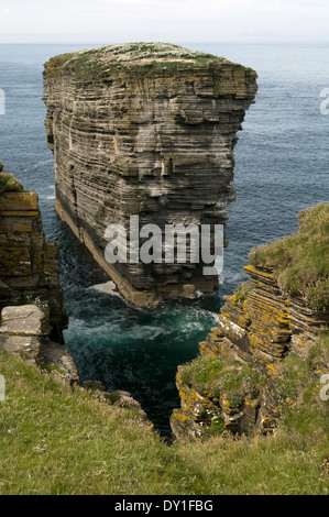 Catasta di mare chiamata Clett, a testa di Holborn, Scrabbster, vicino Thurso, Caithness, Scozia, Regno Unito. Foto Stock