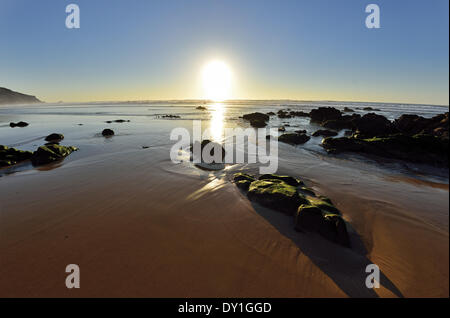 Il Portogallo, Algarve, Parco Naturale Costa Vicentina, Aljezur, Carrapateira, Praia do Amado, viaggi, turismo, seascape, mare, spiaggia, bassa marea, tramonto, tramonto, Scenic, atmosferici, bello e calmo e tranquillo e rilassante, benessere, natura, acqua, acqua calma, wet Foto Stock