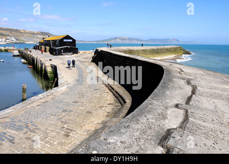 Lyme Regis, il Cobb, Lyme Regis, Dorset, England, Regno Unito Foto Stock