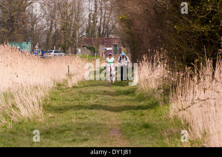 Vista frontale di una coppia di anziani passeggiate in campagna con un cane Foto Stock