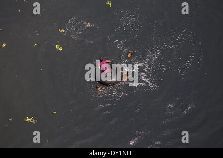 Dacca in Bangladesh. 29 Mar, 2014. Scarico indiscriminato di rifiuti liquidi dalle industrie tannaery di Dhaka Hazaribagh dell area ha rovinato un gran parte del fiume Buriganga, causando immense sofferenze ai residenti che vivono sulle banche. © Probal Rashid/NurPhoto/ZUMAPRESS.com/Alamy Live News Foto Stock