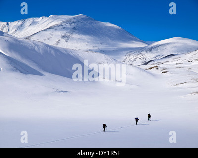 Linea di tre sciatori Sci touring in Rondane, Norvegia Foto Stock