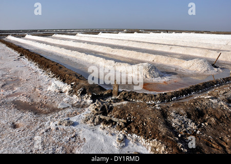 India, Gujarat, Rann di Kutch, soluzione salina Foto Stock