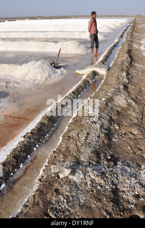 India, Gujarat, Rann di Kutch, soluzione salina Foto Stock