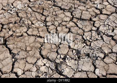 India, Gujarat, Rann di Kutch, soluzione salina Foto Stock