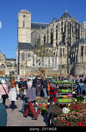 Le Mans, Francia, Cattedrale Gotica. Foto Stock