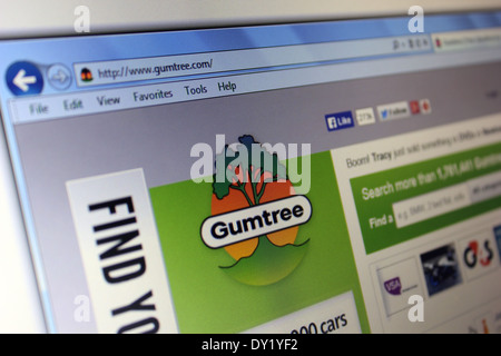 Gumtree Foto Stock