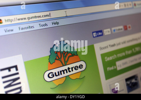 Gumtree Foto Stock