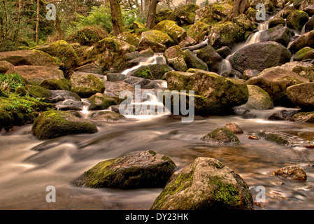 Becky Falls Woodland Park e il sentiero natura, ( Becka scende), Manaton, Newton Abbott, Parco Nazionale di Dartmoor, Devon, Inghilterra, Regno Unito Foto Stock