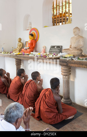 Anuradhapura, Sri Lanka. I giovani monaci buddisti pregano in Sri Maha Bodhi Foto Stock