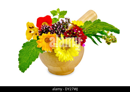 Mint, fiori di origano, calendula, nasturtium, mignonette, verbena, salvia in mortaio di legno isolato su sfondo bianco Foto Stock