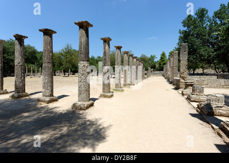 Sezione colonnato dorico Palaestra datato al III secolo A.C. Antica Olympia Peloponneso Grecia Palaestra Foto Stock