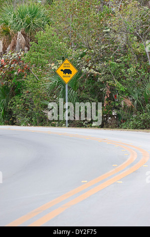 Cartello stradale "Tartaruga Gopher crossing', Sanibel Island, Florida, Stati Uniti d'America Foto Stock