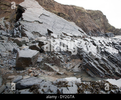 Onda rocciosa della piattaforma di taglio per erosione landforms con creste formate da erose a falde inclinate a Hartland Quay, North Devon, Inghilterra Foto Stock