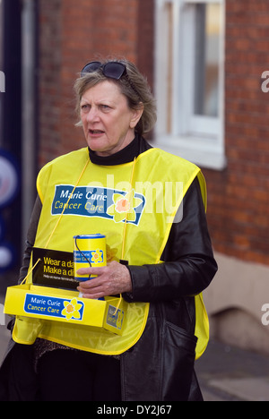 La donna la raccolta di fondi per le borse Marie Curie per la cura del cancro di carità, high street, Alton, HAMPSHIRE, Regno Unito. Foto Stock
