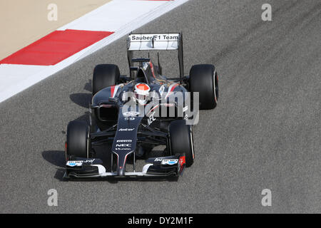 In Bahrain. Il 4 aprile 2014. Adrian Sutil (GER) #99, Sauber F1 Team - Formula1 nel Campionato del Mondo 2014 - Rd03, Bahrain Grand Prix al Bahrain International Circuit, Sakhir, Bahrein, venerdì 4 aprile 2014 Credit: dpa picture alliance/Alamy Live News Foto Stock