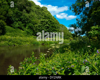 Il lago e alberi a Creswell Crags un preistorico limestone gorge con ice age era grotte nel nord Derbyshire England Regno Unito Foto Stock