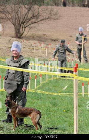 Visoko. 4 apr, 2014. Deminers prendere parte in esercizi vicino a Visoko, in Bosnia-Erzegovina (BiH), il 4 aprile 2014, l'International Mine Action Day. Con l aiuto della comunità internazionale, la BiH piani per cancellare tutte le miniere all'interno del paese prima di 2020. © Haris Memija/Xinhua/Alamy Live News Foto Stock