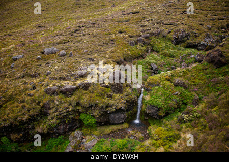 Piccolo ruscello e cascata lungo le ultime fasi del Tongariro Alpine Crossing, Nuova Zelanda. Foto Stock