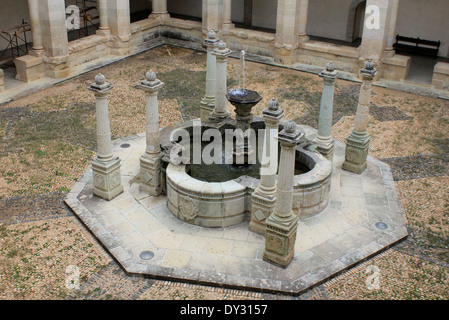 Fontana nel cortile interno del museo dalla chiesa di Santo Domingo de Guzman, Oaxaca, Messico Foto Stock