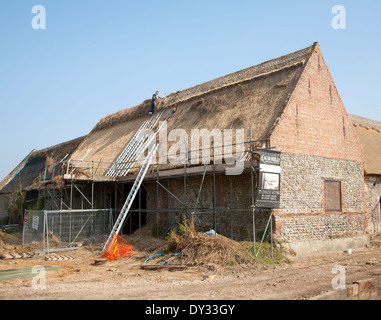 La Thatcher a lavorare su un nuovo tetto di paglia di tetto del granaio a Windspurs farm, Roughton, Norfolk, Inghilterra Foto Stock