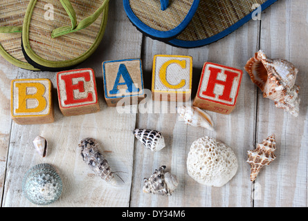 Blocchi per bambini Compitazione spiaggia su una rustica passerella di legno. La parola sono circondati acquistare conchiglie di mare Foto Stock