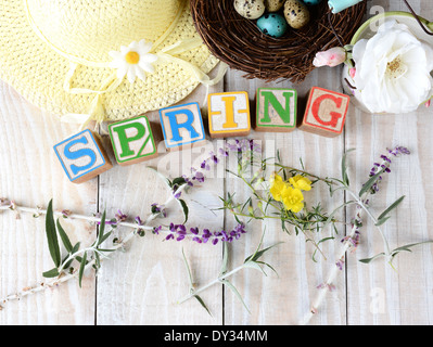 Childrens blocks spelling out Spring on rustic wooden boards The word is surrounded by flowers, a bonnet and a birds nest with e Foto Stock