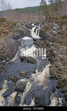 Cade di Rogie su nero fiume di acqua situato tra Garve e Contin fuori la A835 a ovest di Inverness in Scozia settentrionale Foto Stock