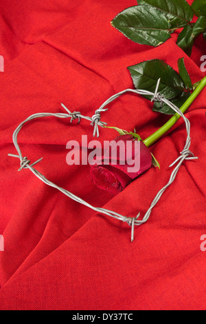 Filo spinato a forma di cuore e di rosa su sfondo rosso Foto Stock