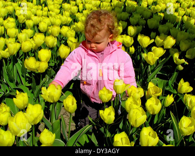 Tempo di primavera nei Paesi Bassi: una bambina è in piedi in un campo della lampadina tra tulipani gialli. Foto Stock
